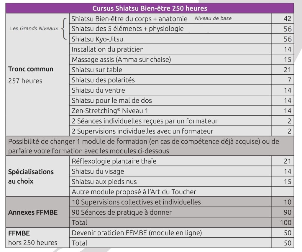 Programme Shiatsu 205H